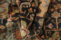 https://image-static-obj.rugsource.com/small/169439_3353813_20d16c34.jpeg