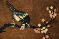 https://image-static-obj.rugsource.com/small/169949_3368839_0830b547.jpeg