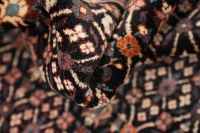 https://image-static-obj.rugsource.com/small/170004_3368160_225ff00b.jpeg