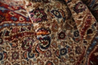 https://image-static-obj.rugsource.com/small/170200_3408797_8c800b38.jpeg