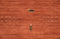 https://image-static-obj.rugsource.com/small/170308_3449644_92295724.jpeg