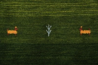 https://image-static-obj.rugsource.com/small/170311_3449688_77866269.jpeg