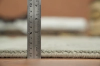 https://image-static-obj.rugsource.com/small/170339_3450443_6ea0afe5.jpeg
