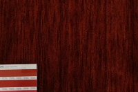 https://image-static-obj.rugsource.com/small/170354_3451070_0b896c53.jpeg