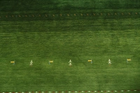 https://image-static-obj.rugsource.com/small/170385_3450855_5024a2c0.jpeg