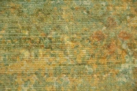 https://image-static-obj.rugsource.com/small/170418_3456014_58542cb7.jpeg