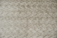 https://image-static-obj.rugsource.com/small/170456_3452293_60ef1fc4.jpeg