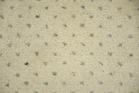 https://image-static-obj.rugsource.com/small/170479_3451216_3ce6b4bb.jpeg
