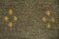 https://image-static-obj.rugsource.com/small/170496_3455390_f3b4e4ed.jpeg