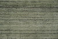 https://image-static-obj.rugsource.com/small/170499_3451441_889c4984.jpeg