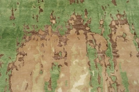 https://image-static-obj.rugsource.com/small/170619_3453206_40d4b178.jpeg