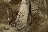 https://image-static-obj.rugsource.com/small/170627_3453017_761ea1a0.jpeg