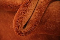 https://image-static-obj.rugsource.com/small/170837_3459058_03ea29cc.jpeg