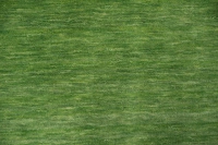 https://image-static-obj.rugsource.com/small/170874_3460879_ff4fed1a.jpeg
