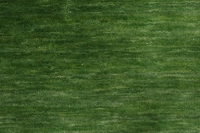 https://image-static-obj.rugsource.com/small/170877_3460435_af851713.jpeg