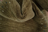 https://image-static-obj.rugsource.com/small/170887_3461482_bca25d45.jpeg