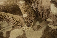 https://image-static-obj.rugsource.com/small/170913_3461086_a39d8b34.jpeg