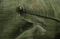 https://image-static-obj.rugsource.com/small/170999_3470963_d715900f.jpeg