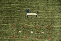 https://image-static-obj.rugsource.com/small/171025_3461604_653cf348.jpeg