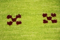 https://image-static-obj.rugsource.com/small/171166_3464045_71237961.jpeg