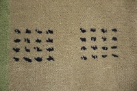 https://image-static-obj.rugsource.com/small/171174_3464178_9f259991.jpeg