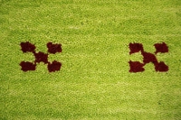https://image-static-obj.rugsource.com/small/171206_3465119_d48ebd74.jpeg