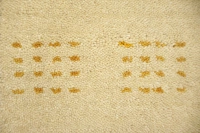 https://image-static-obj.rugsource.com/small/171207_3464687_c0b7d948.jpeg