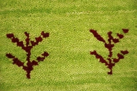 https://image-static-obj.rugsource.com/small/171211_3464753_78d122ca.jpeg