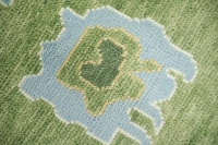 https://image-static-obj.rugsource.com/small/172163_3488236_74bed8b2.jpeg