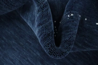https://image-static-obj.rugsource.com/small/172354_3490492_1f638732.jpeg