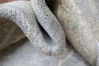 https://image-static-obj.rugsource.com/small/172709_3497190_3ecb44d1.jpeg