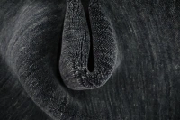 https://image-static-obj.rugsource.com/small/172991_3500089_ed8fbfd8.jpeg