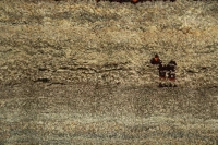 https://image-static-obj.rugsource.com/small/33652_3297508_f3efeb34.jpeg