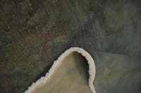 https://image-static-obj.rugsource.com/small/48189_3439851_6e87b9f4.jpeg