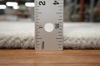 https://image-static-obj.rugsource.com/small/55909_3408641_2dbf8ebf.jpeg