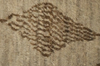 https://image-static-obj.rugsource.com/small/58915_3332818_7e7e1620.jpeg