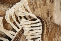 https://image-static-obj.rugsource.com/small/58953_3448657_9ad29158.jpeg