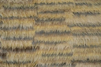 https://image-static-obj.rugsource.com/small/59825_3343614_b32535b0.jpeg