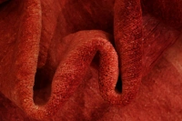 https://image-static-obj.rugsource.com/small/61090_3454216_a38d0b69.jpeg