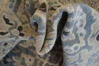 https://image-static-obj.rugsource.com/small/63788_3401258_0d7e0b9d.jpeg