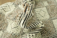 https://image-static-obj.rugsource.com/small/67742_3420727_05381dba.jpeg