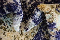 https://image-static-obj.rugsource.com/small/69867_3372402_52e84432.jpeg