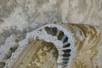 https://image-static-obj.rugsource.com/small/69944_3372930_abd2d153.jpeg