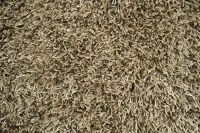 https://image-static-obj.rugsource.com/small/72119_3376780_96465550.jpeg