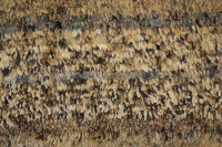 https://image-static-obj.rugsource.com/small/77574_3355621_c50b7931.jpeg