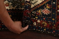 https://image-static-obj.rugsource.com/small/77725_1533467_babf6bf0.jpeg