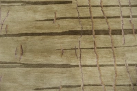 https://image-static-obj.rugsource.com/small/85281_3423792_3c5a45a5.jpeg