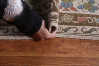 https://image-static-obj.rugsource.com/small/87164_1727387_c65755f8.jpeg