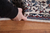 https://image-static-obj.rugsource.com/small/87394_1732762_121f655e.jpeg