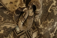 https://image-static-obj.rugsource.com/small/88242_3440002_8b4f4890.jpeg